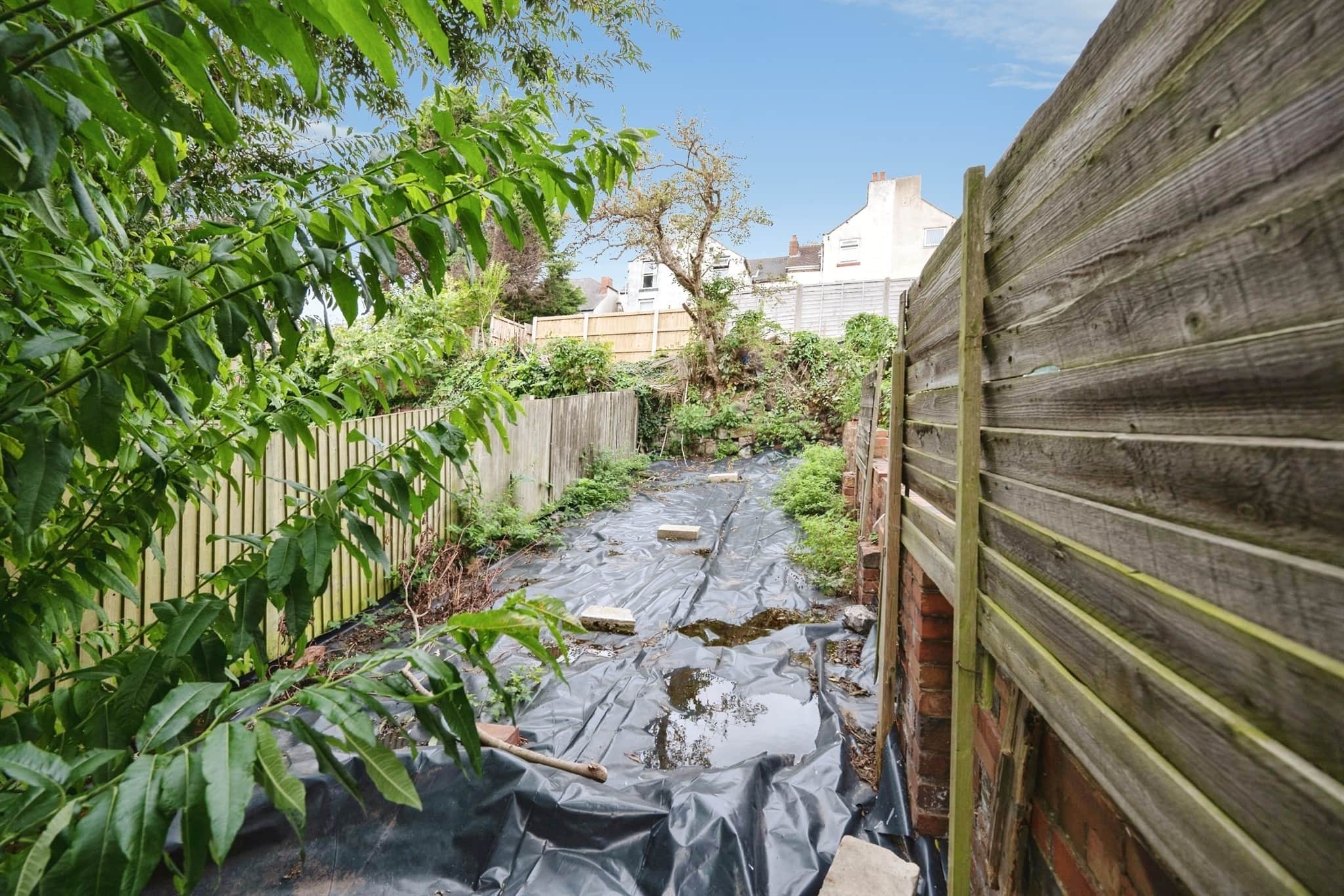 Property photo 24
